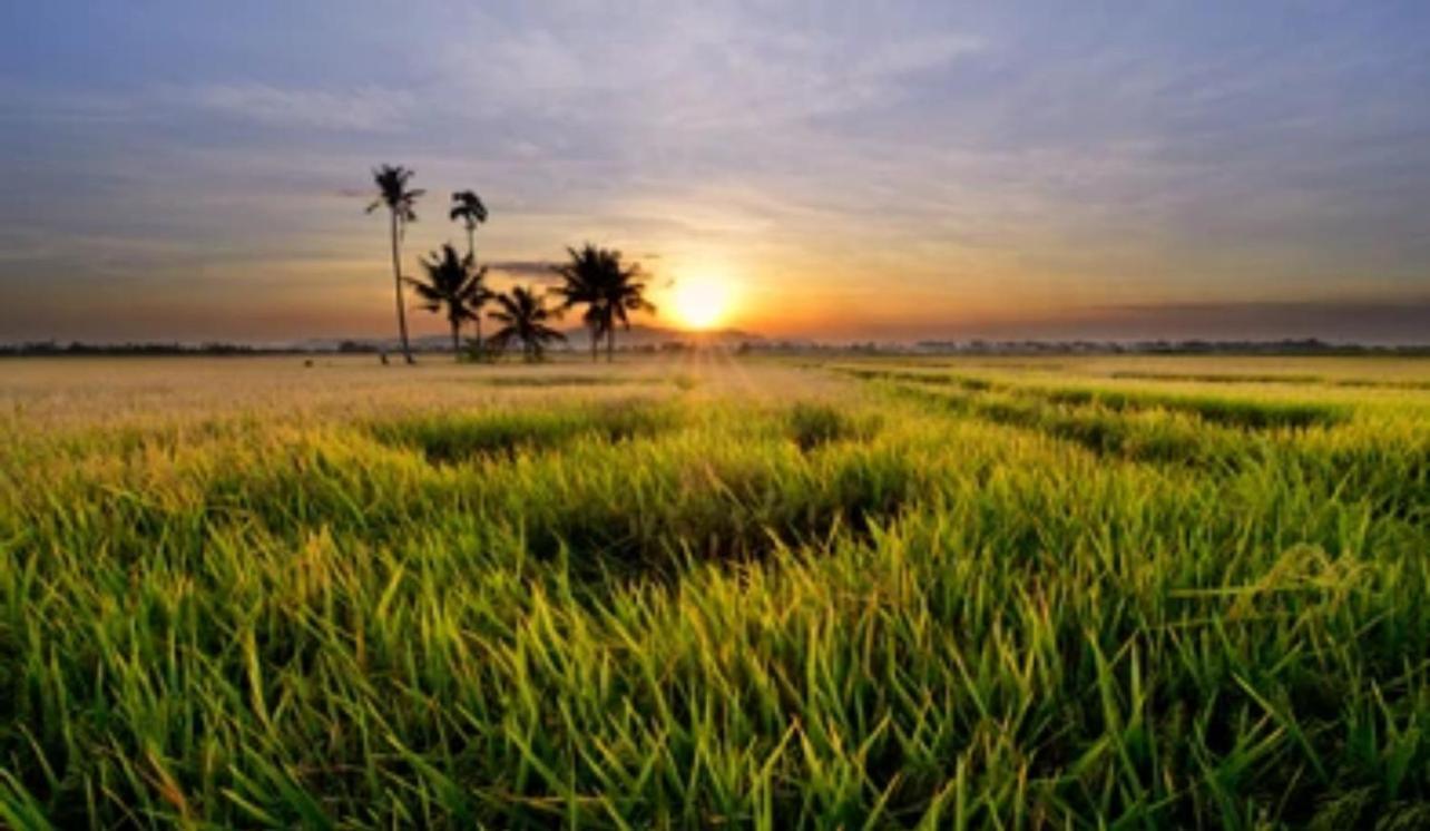 Sobaya Residence Ambalantota Ngoại thất bức ảnh