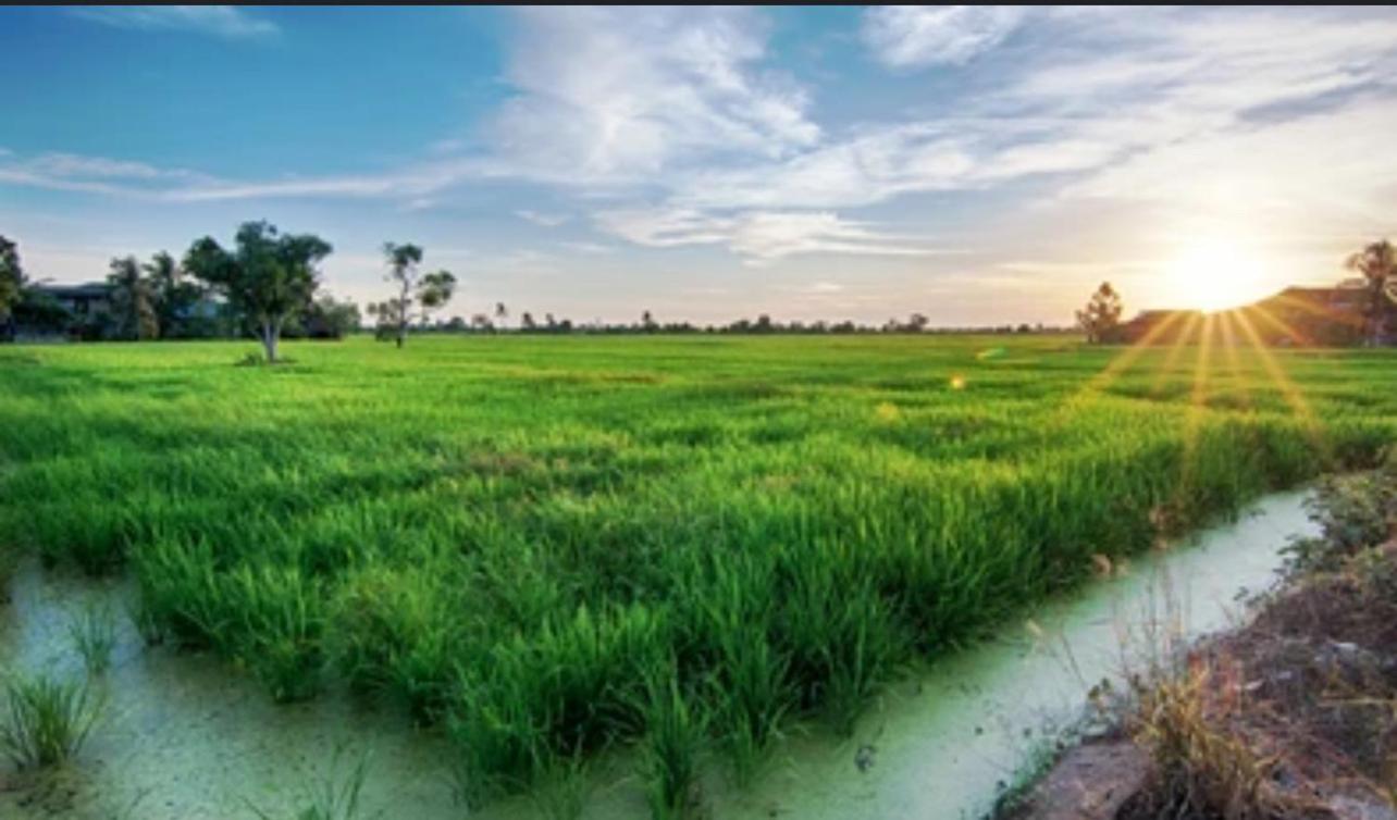 Sobaya Residence Ambalantota Ngoại thất bức ảnh